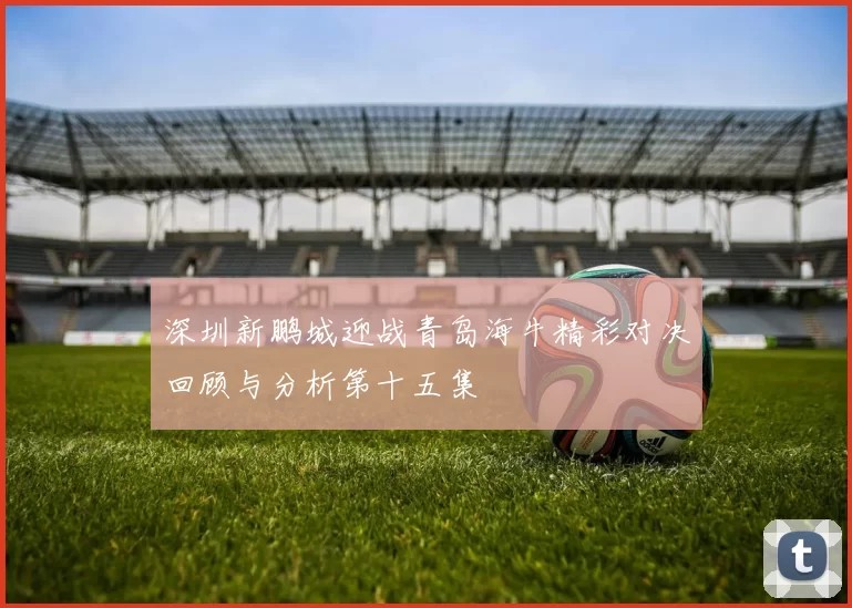 深圳新鹏城迎战青岛海牛精彩对决回顾与分析第十五集